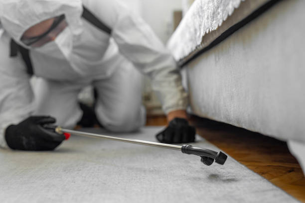 Professional Bed Bug Control technician working in Presidio, TX
