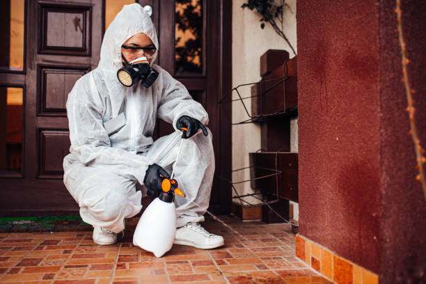 Reliable Bed Bug Control contractor in Presidio, TX by Nex Pest Control